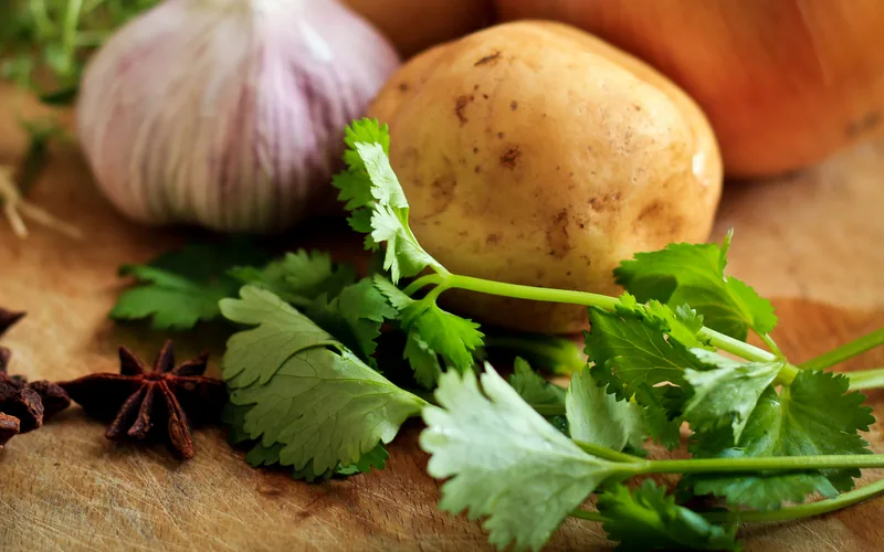 Knoblauch, Kartoffel, Zwiebeln, Koriandergrün und Sternanis auf einem Holzbrett